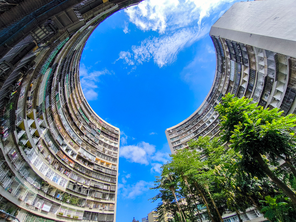 IMG_20250525_090947.jpg IMG_20250525_090947.jpg