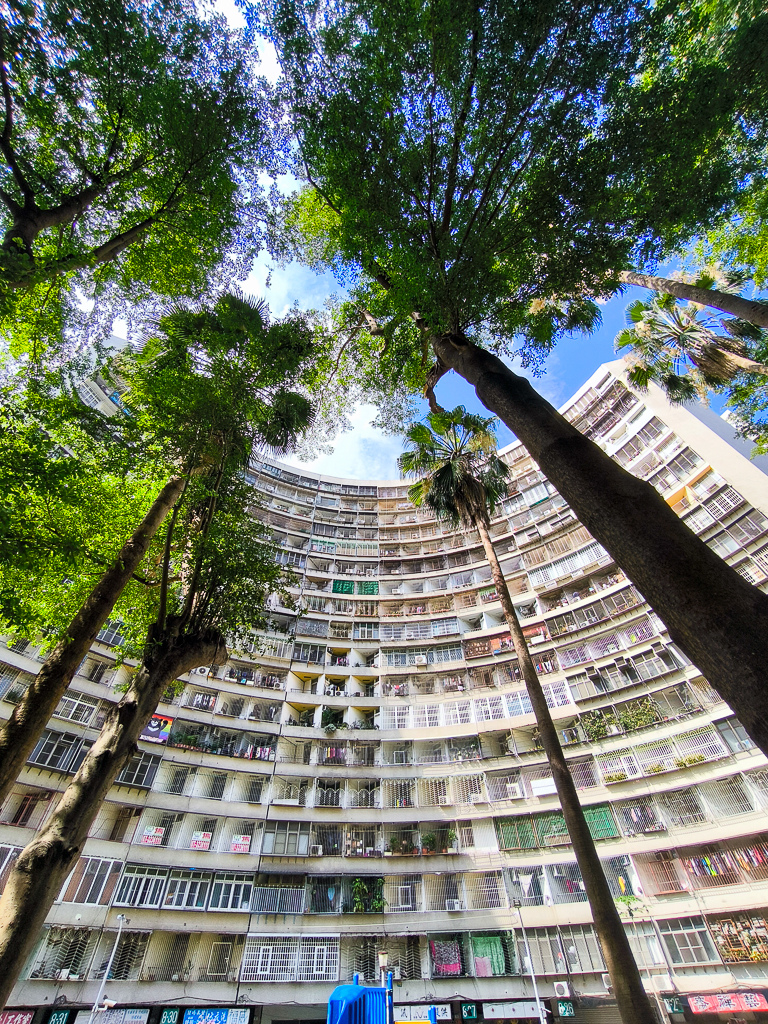 IMG_20250525_091234.jpg IMG_20250525_091234.jpg