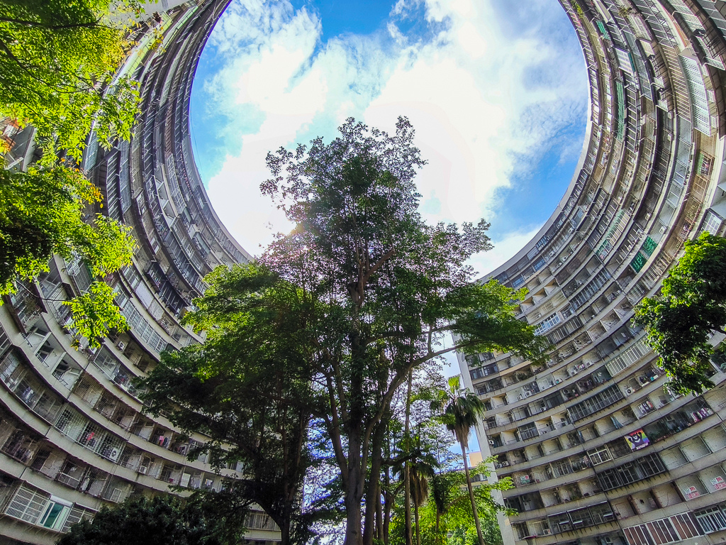 IMG_20250525_091347.jpg IMG_20250525_091347.jpg