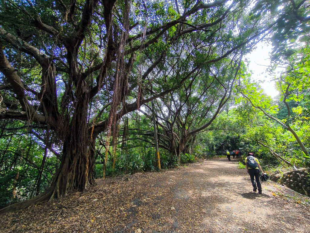 IMG_20250525_094630.jpg IMG_20250525_094630.jpg