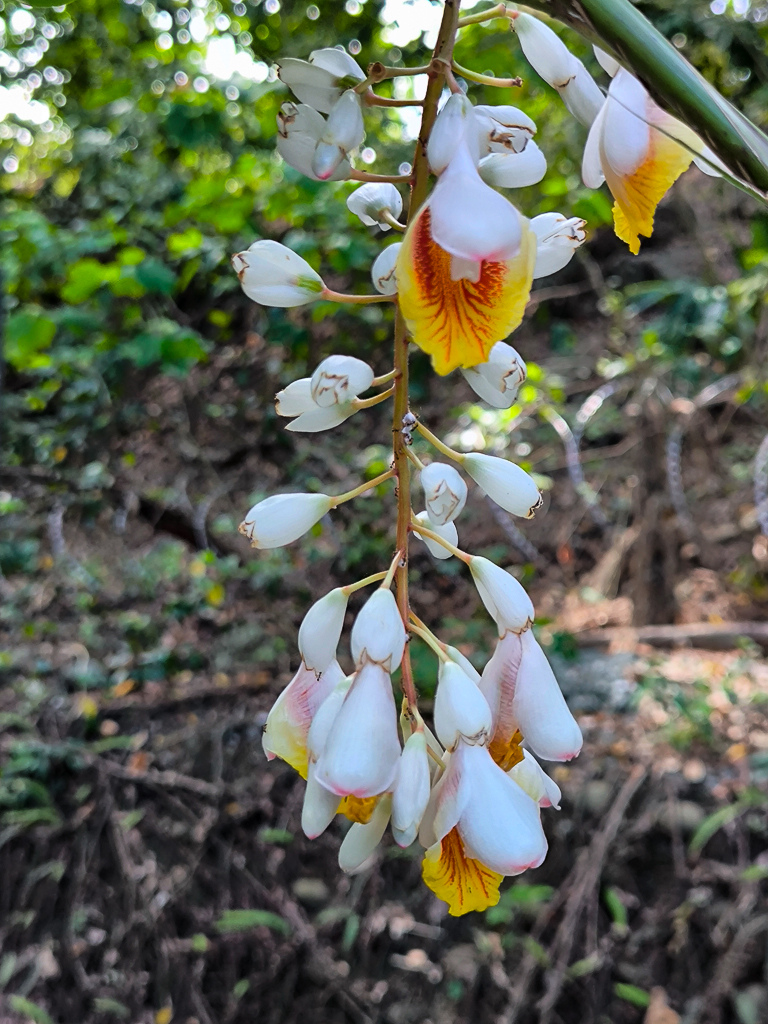 IMG_20250525_094740.jpg IMG_20250525_094740.jpg