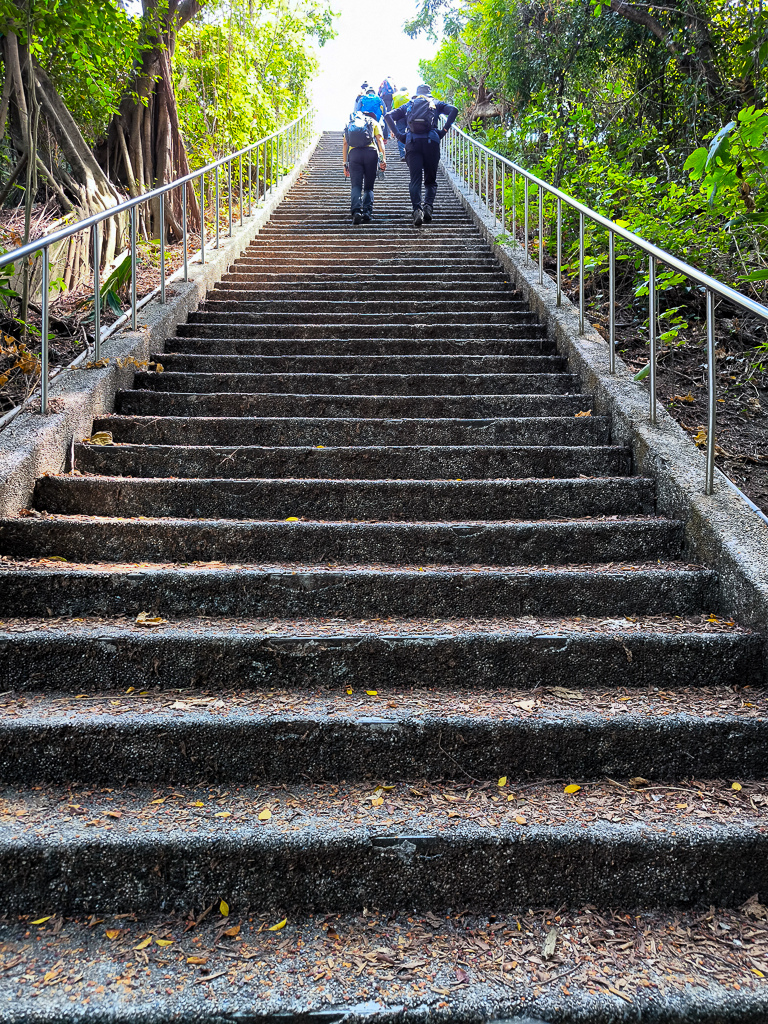 IMG_20250525_094751.jpg IMG_20250525_094751.jpg