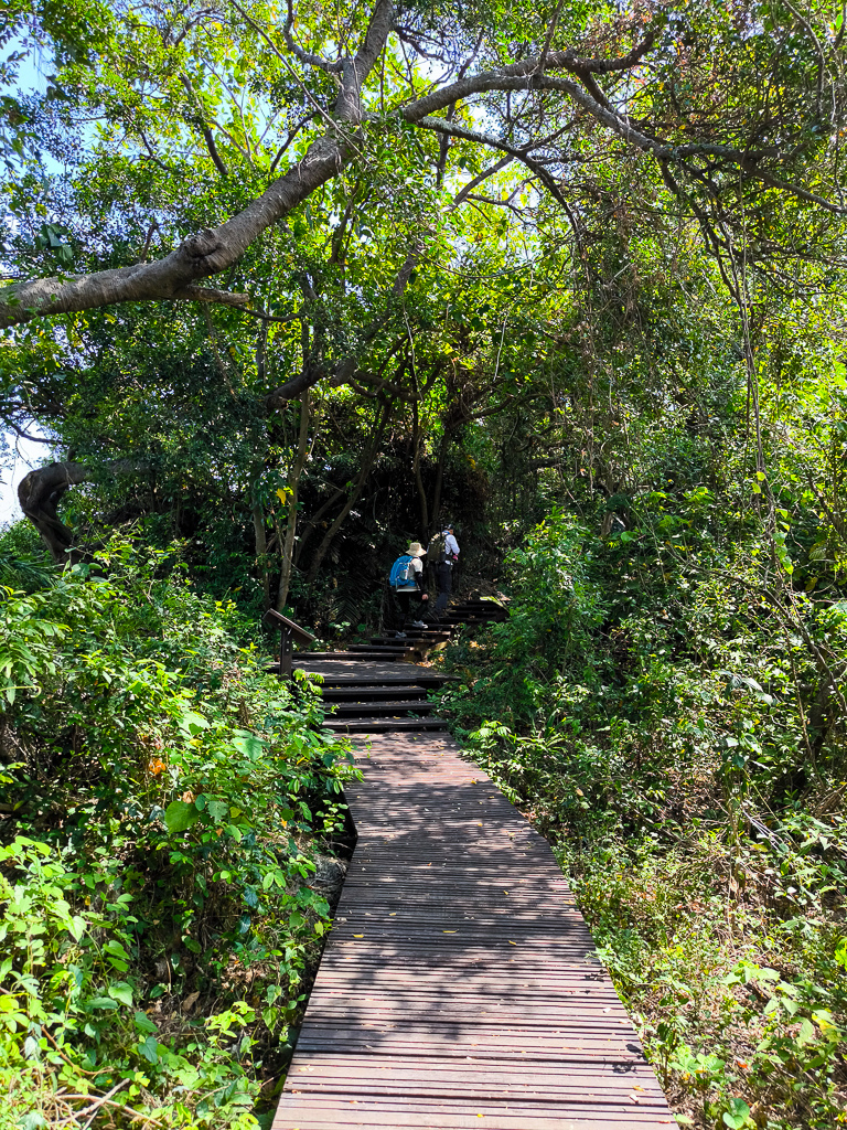 IMG_20250525_095245.jpg IMG_20250525_095245.jpg