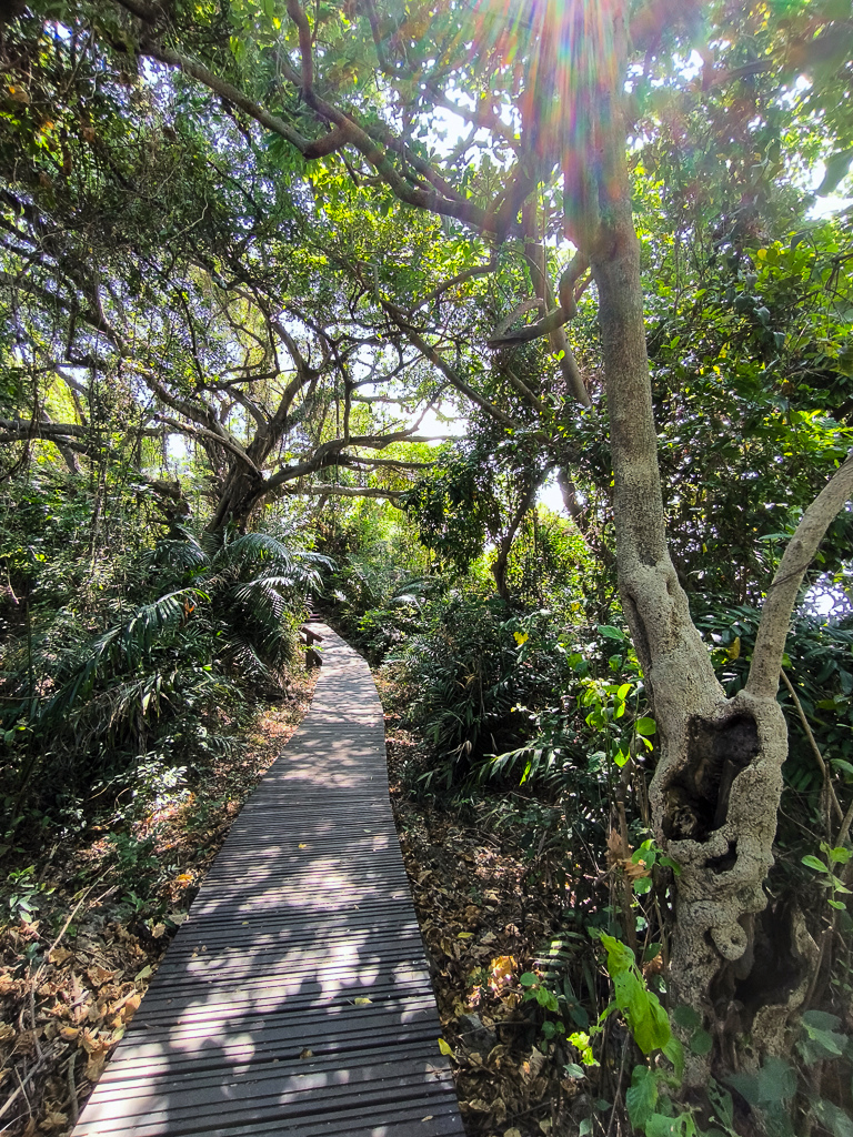 IMG_20250525_095316.jpg IMG_20250525_095316.jpg