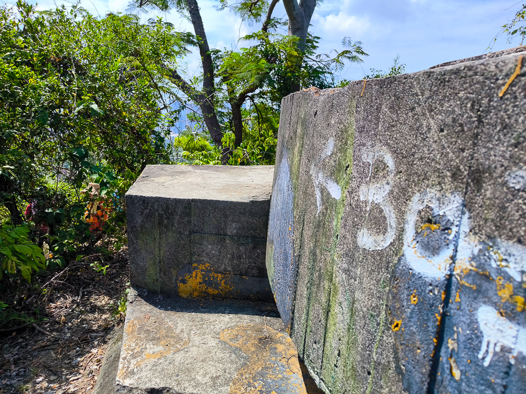 IMG_20250525_100602_1.jpg IMG_20250525_100602_1.jpg