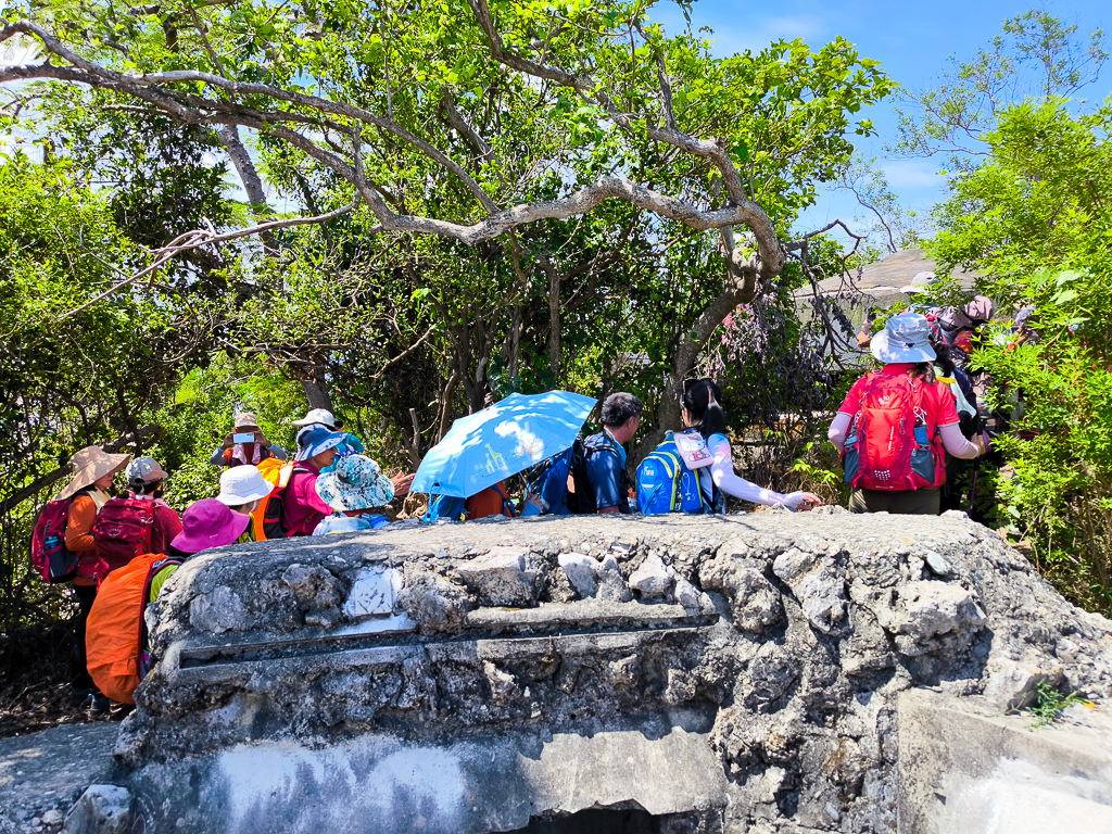 IMG_20250525_100646.jpg IMG_20250525_100646.jpg