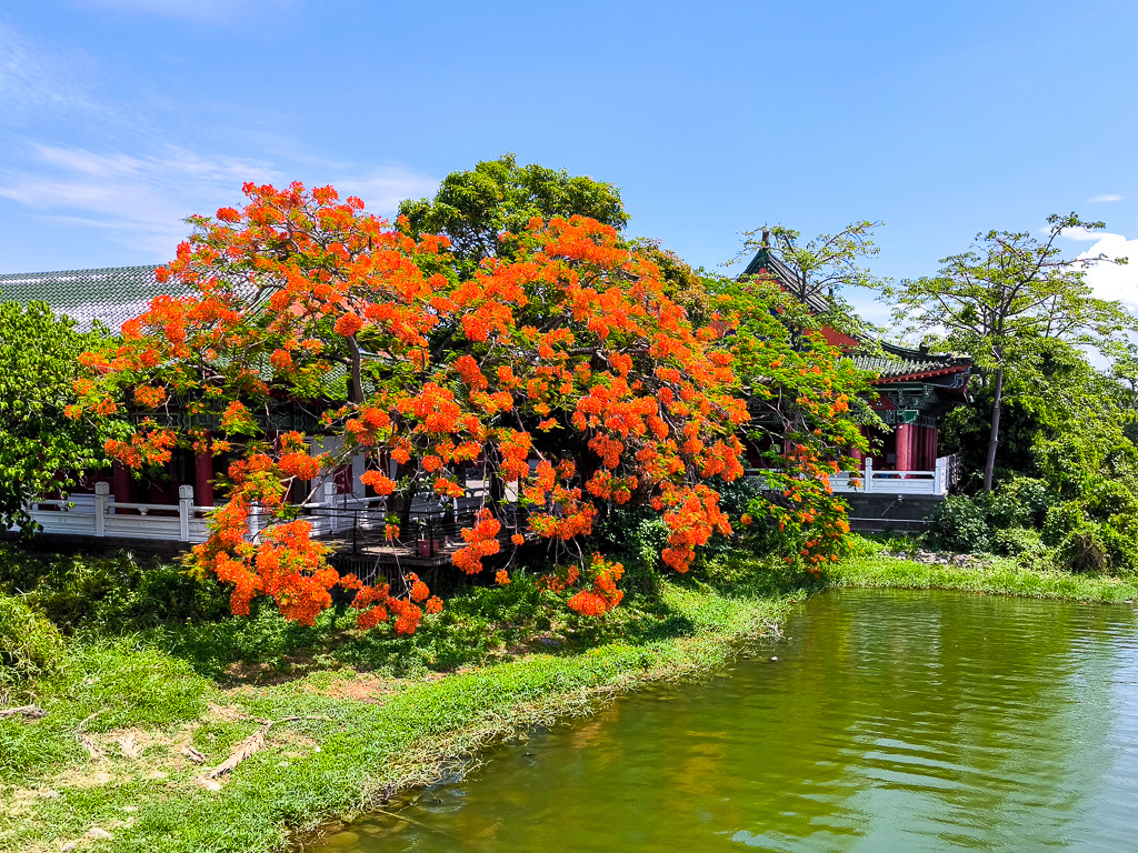 IMG_20250525_104429.jpg IMG_20250525_104429.jpg