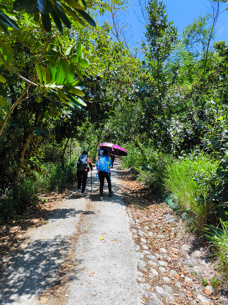 IMG_20250525_110833.jpg IMG_20250525_110833.jpg