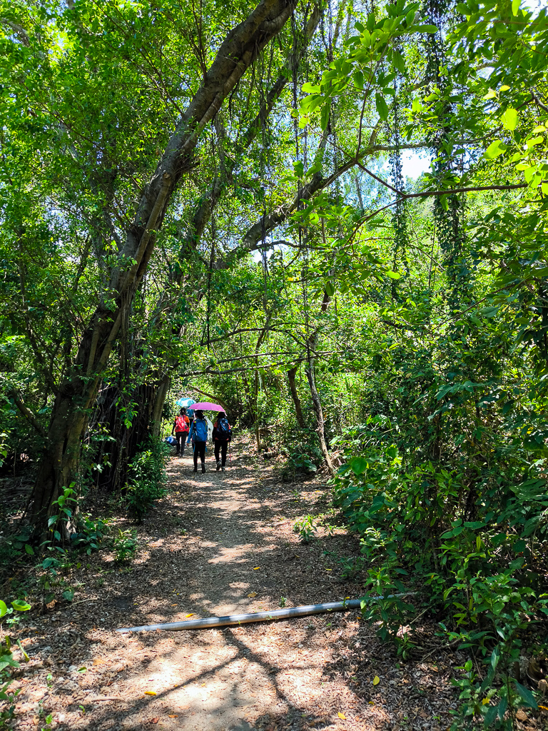 IMG_20250525_111056.jpg IMG_20250525_111056.jpg