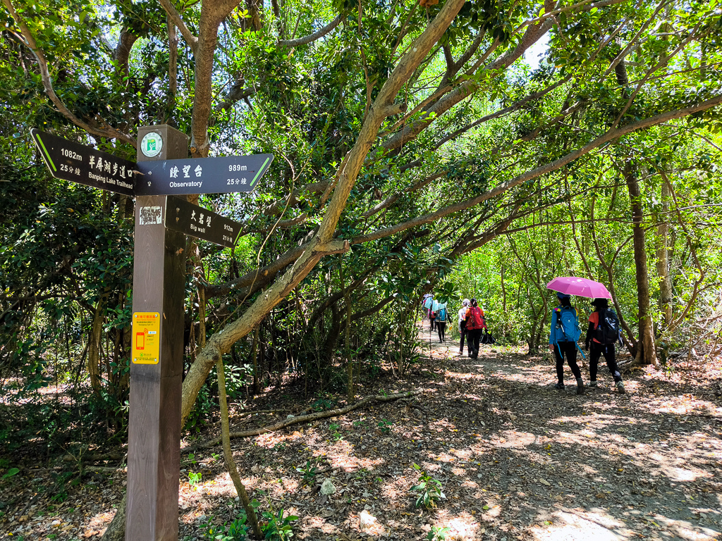 IMG_20250525_111026.jpg IMG_20250525_111026.jpg