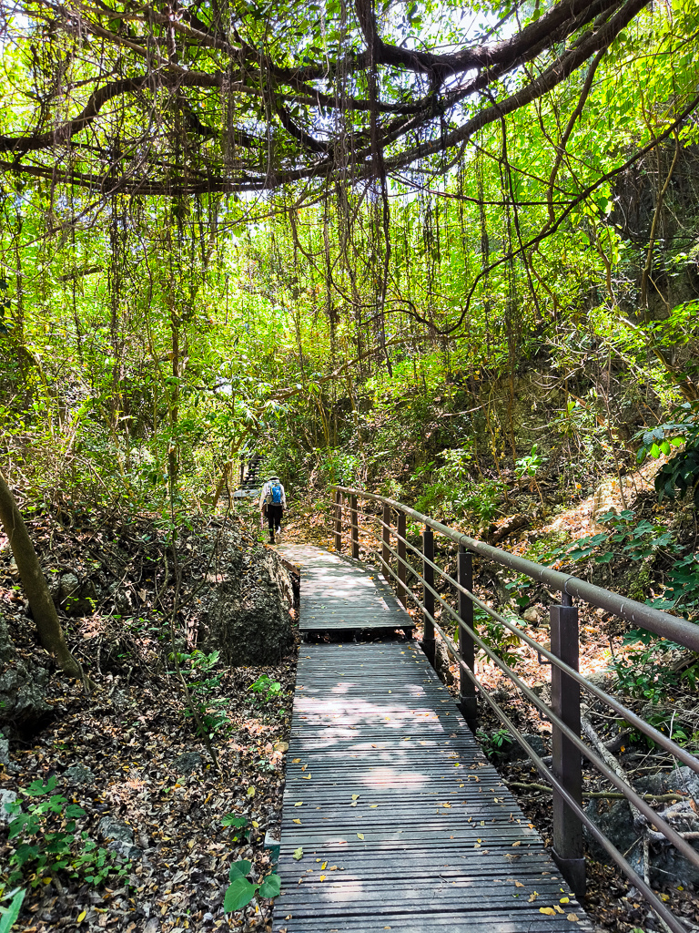 IMG_20250525_110144.jpg IMG_20250525_110144.jpg