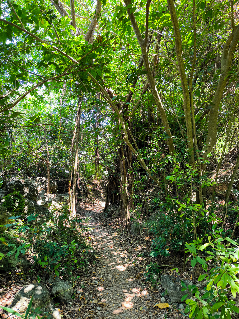 IMG_20250525_111136.jpg IMG_20250525_111136.jpg