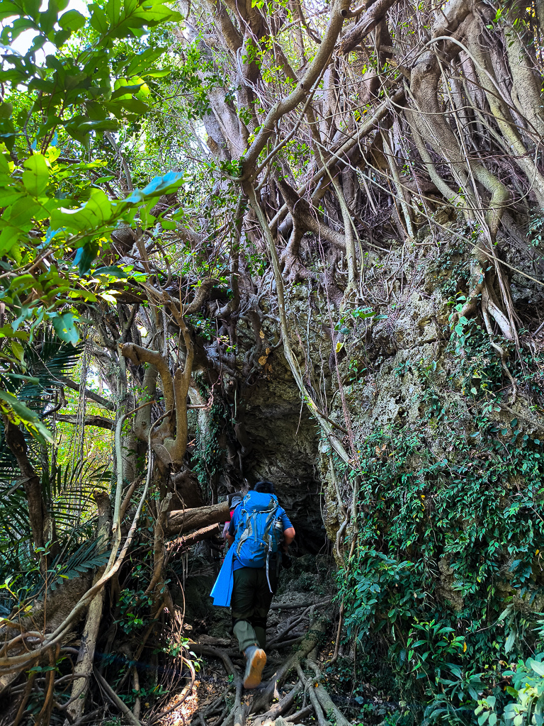 IMG_20250525_111632.jpg IMG_20250525_111632.jpg