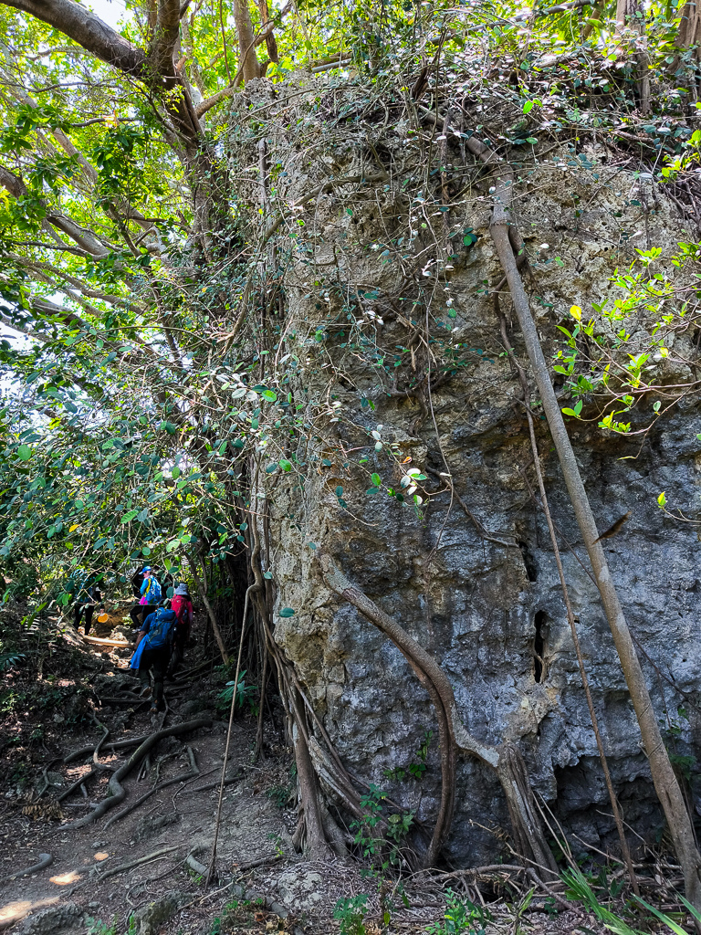 IMG_20250525_111403.jpg IMG_20250525_111403.jpg