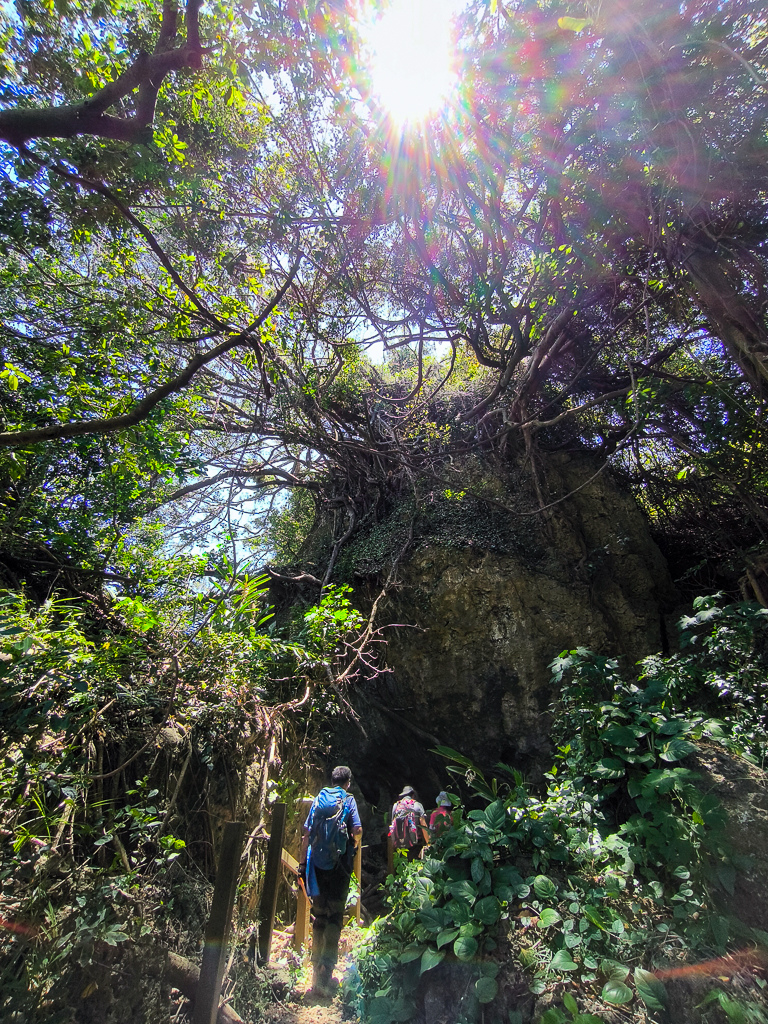 IMG_20250525_111824.jpg IMG_20250525_111824.jpg