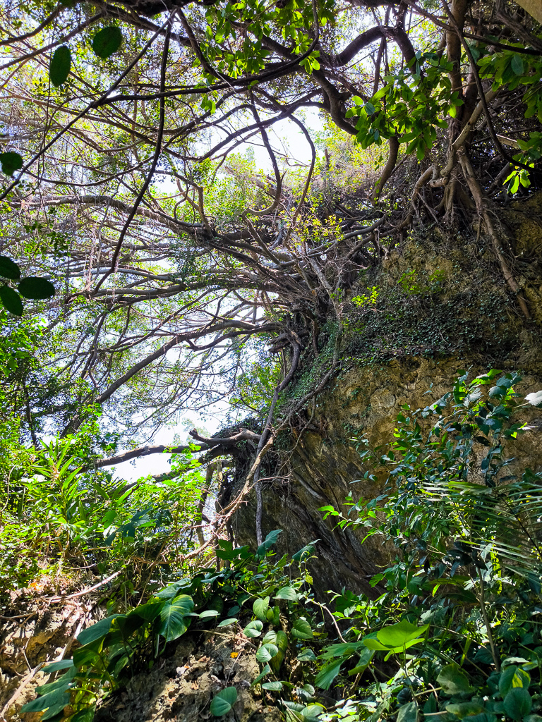 IMG_20250525_111750.jpg IMG_20250525_111750.jpg