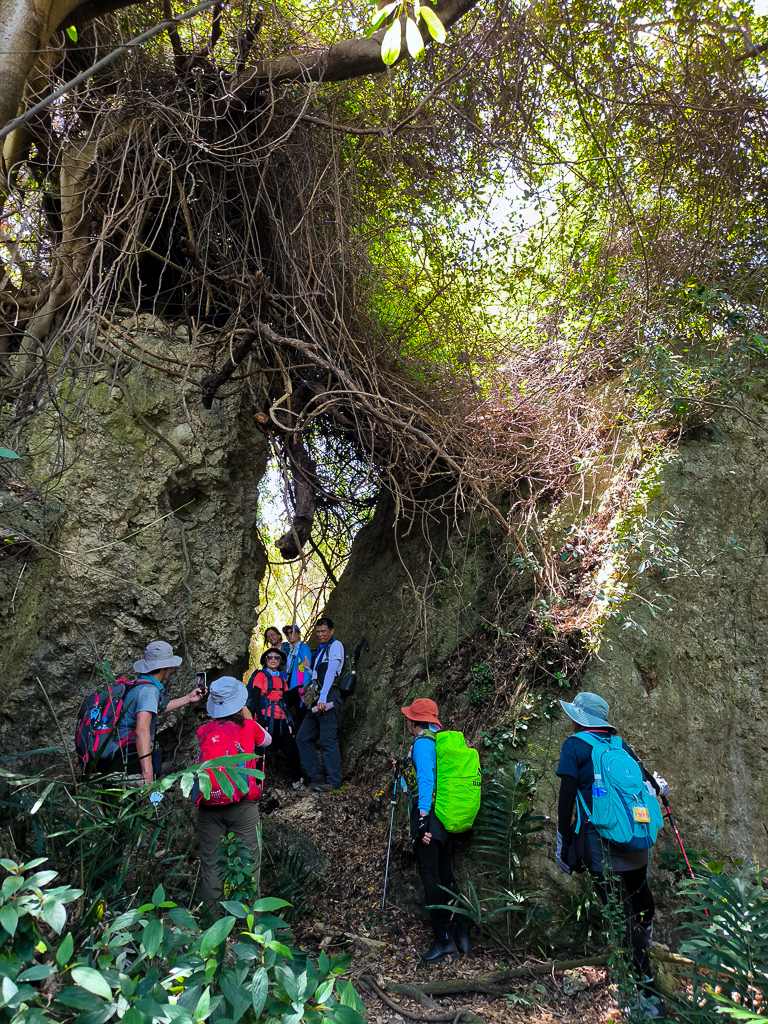 IMG_20250525_112341.jpg IMG_20250525_112341.jpg