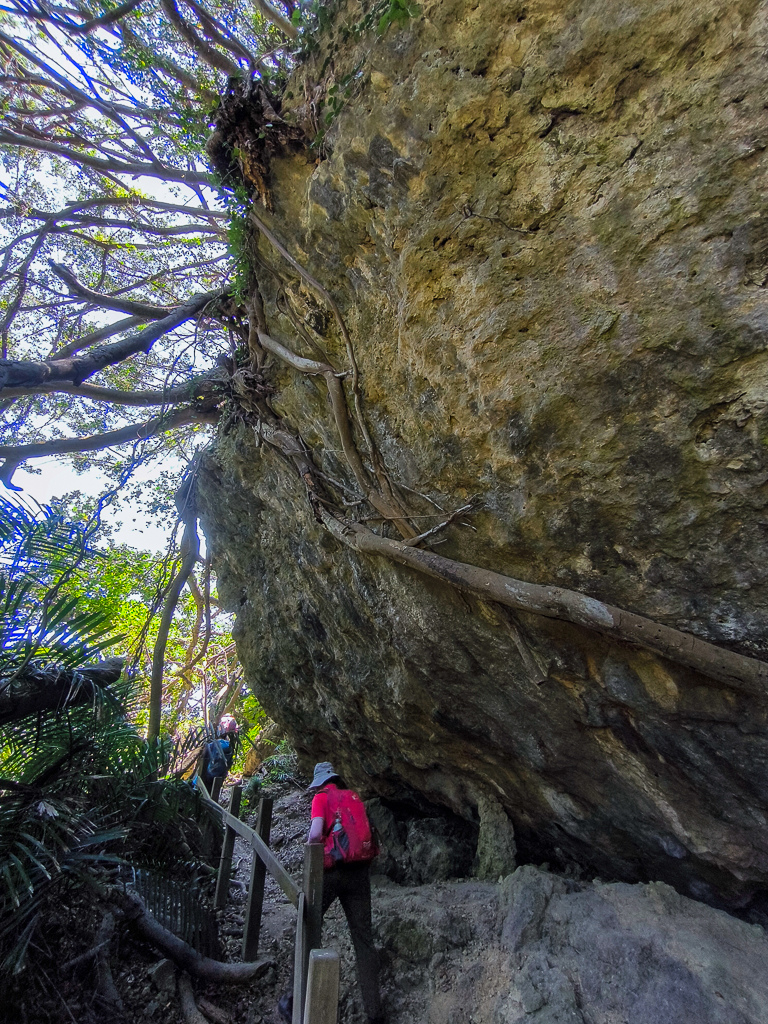 IMG_20250525_111848.jpg IMG_20250525_111848.jpg