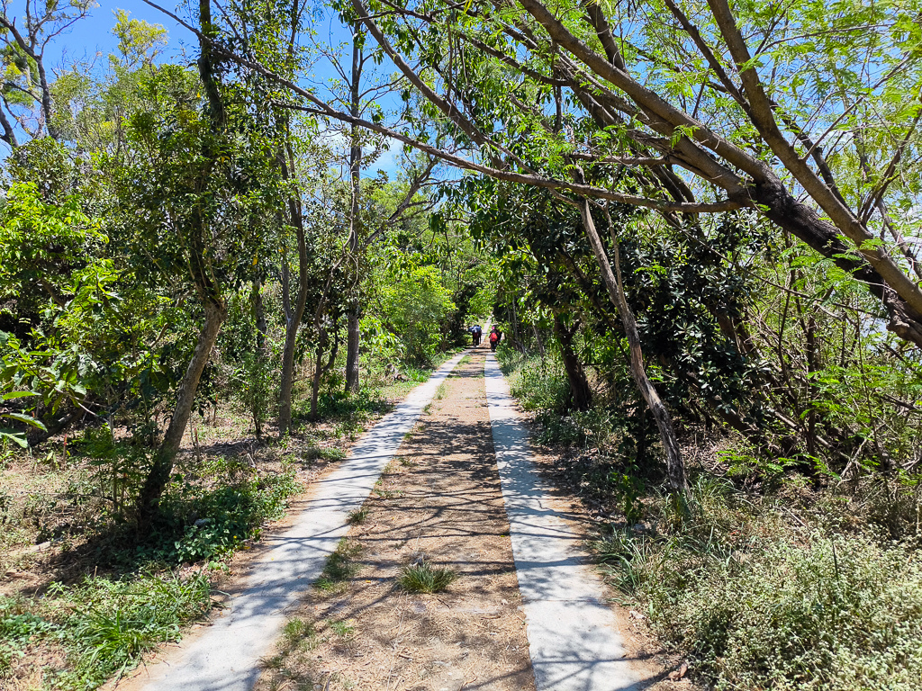 IMG_20250525_113535.jpg IMG_20250525_113535.jpg