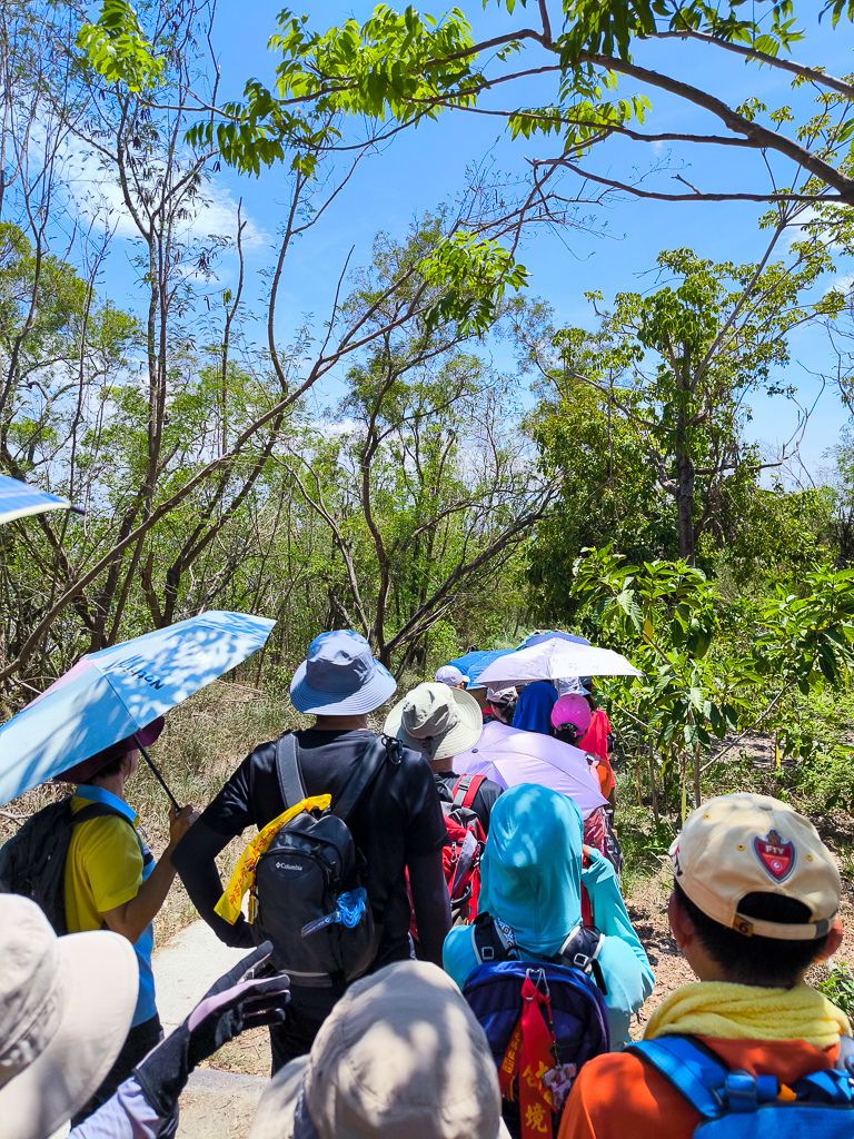 IMG_20250525_130749.jpg IMG_20250525_130749.jpg