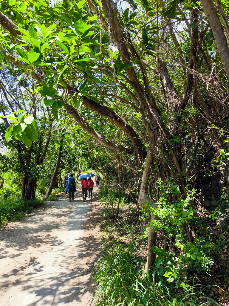 IMG_20250525_132215.jpg IMG_20250525_132215.jpg