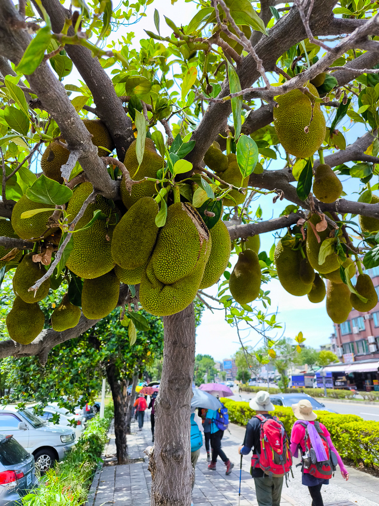 IMG_20250525_134804.jpg IMG_20250525_134804.jpg