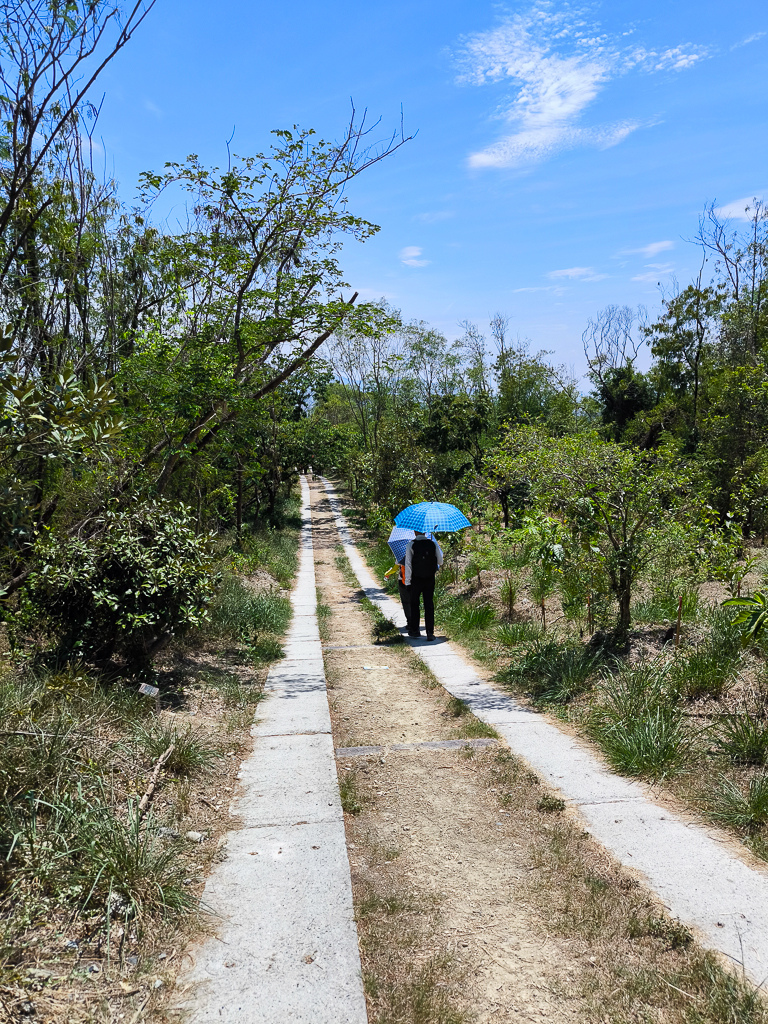 IMG_20250525_131449.jpg IMG_20250525_131449.jpg