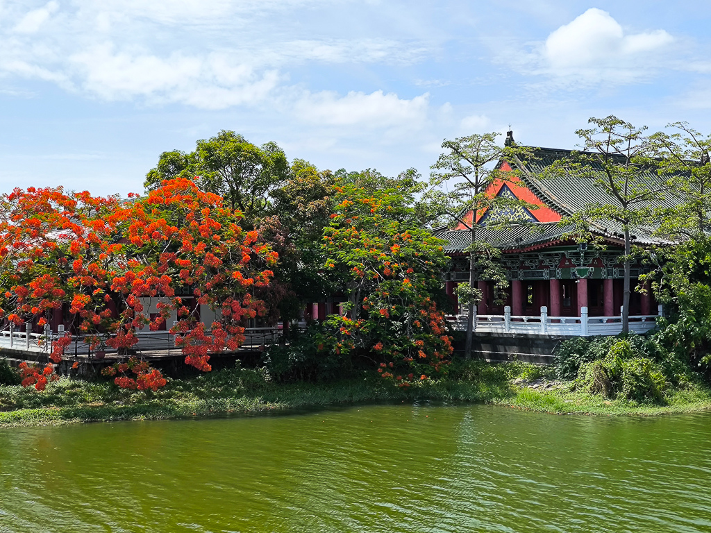 IMG_20250525_140121.jpg IMG_20250525_140121.jpg