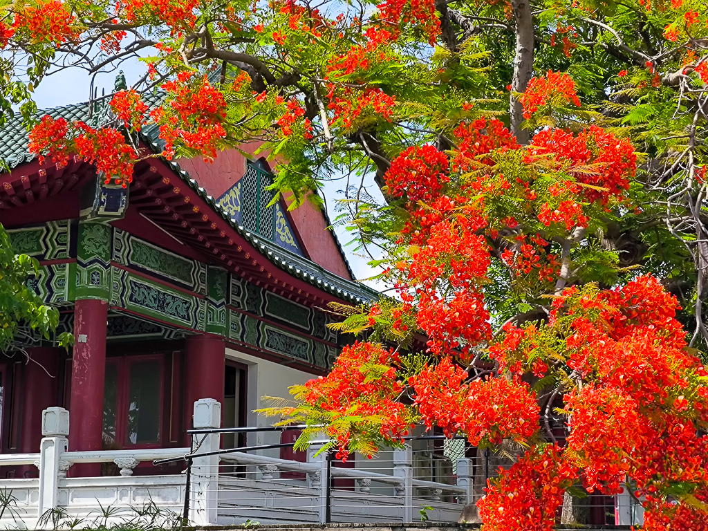 IMG_20250525_140254.jpg IMG_20250525_140254.jpg