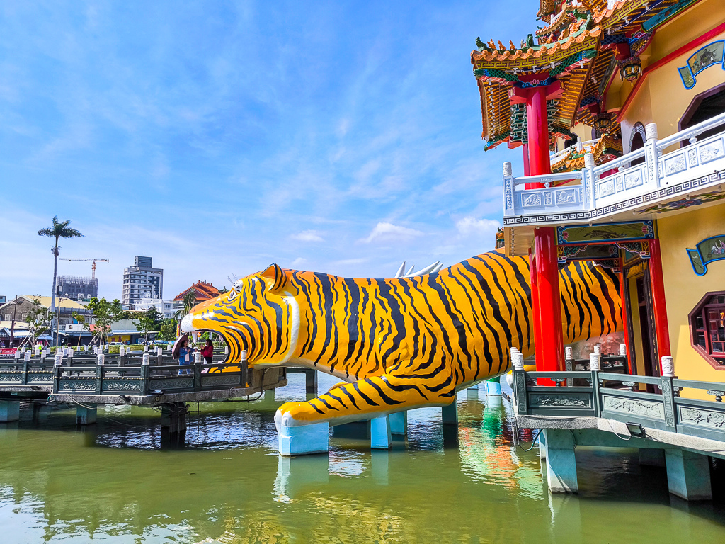 IMG_20250525_143827.jpg IMG_20250525_143827.jpg