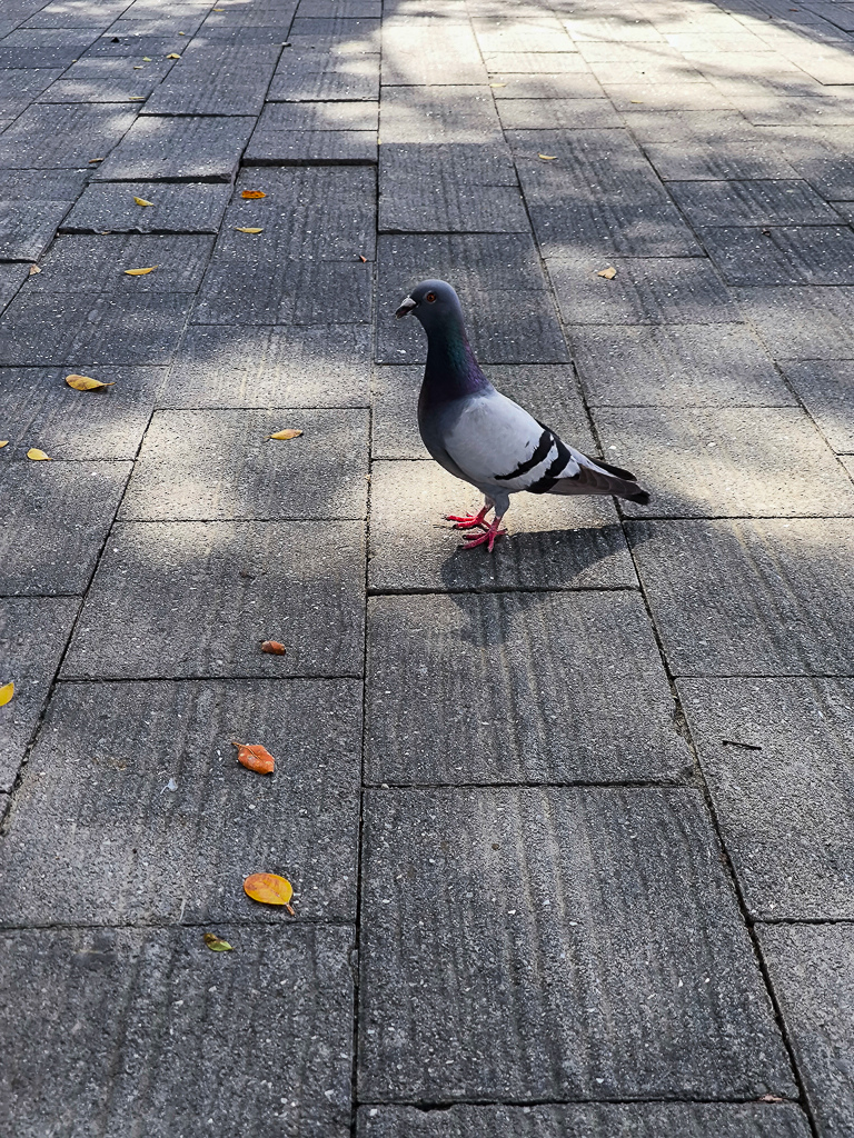 IMG_20250525_145651.jpg IMG_20250525_145651.jpg