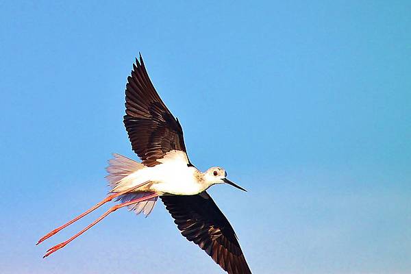 IMG_3018.JPG IMG_3018.JPG