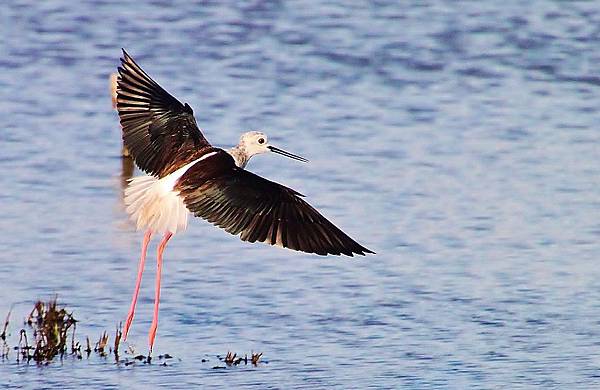 IMG_3019.JPG IMG_3019.JPG