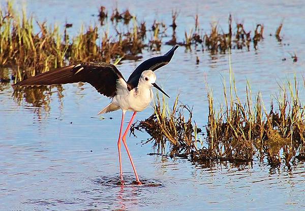 IMG_3138.JPG IMG_3138.JPG