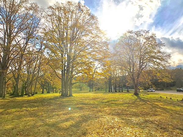 12_181015_125225-4338826.jpg 12_181015_125225-4338826.jpg