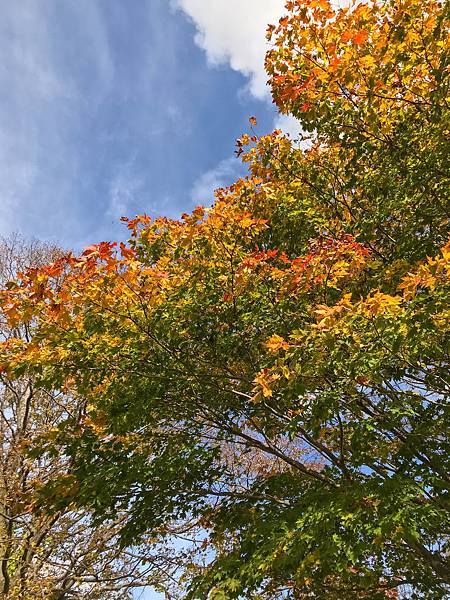 11_181015_124831-4259388.jpg 11_181015_124831-4259388.jpg