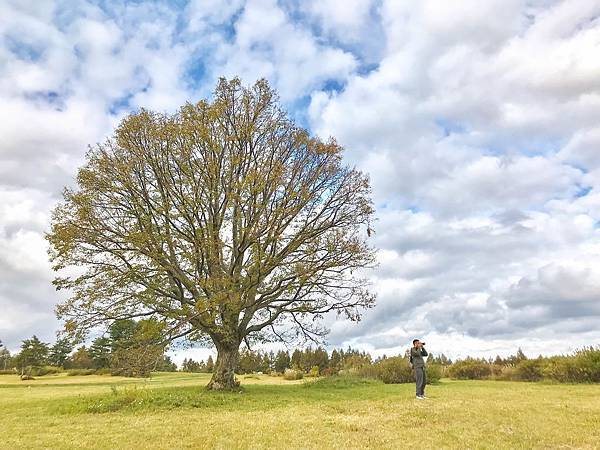 17_181015_131041-4126113.jpg 17_181015_131041-4126113.jpg