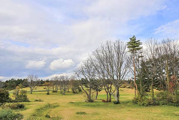 15_IMG_9077.jpg 15_IMG_9077.jpg