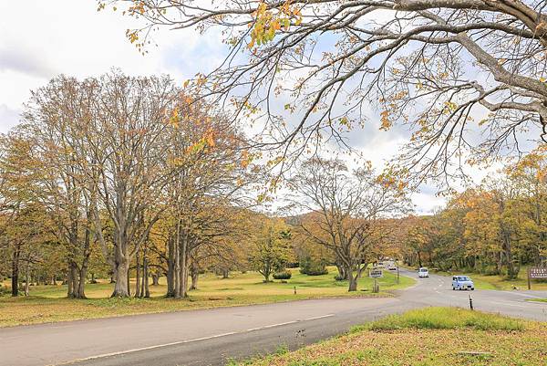 22_IMG_9126.jpg 22_IMG_9126.jpg