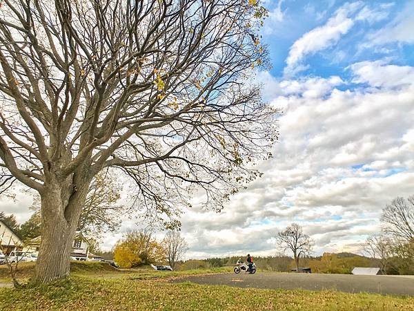 04_181015_133740-4677790.jpg 04_181015_133740-4677790.jpg