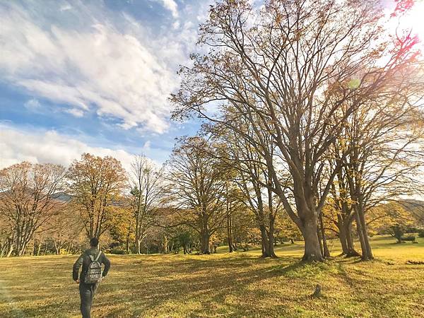 06_181015_123911-5466433.jpg 06_181015_123911-5466433.jpg