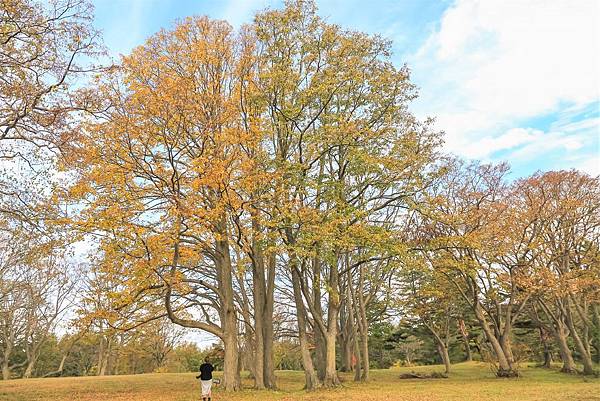 07_IMG_9048.jpg 07_IMG_9048.jpg