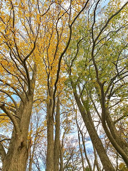 08_181015_124128-7479463.jpg 08_181015_124128-7479463.jpg