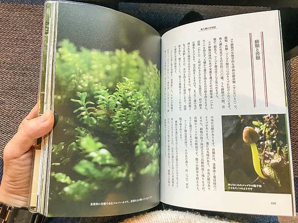 15_181016_081127-3041949.jpg 15_181016_081127-3041949.jpg