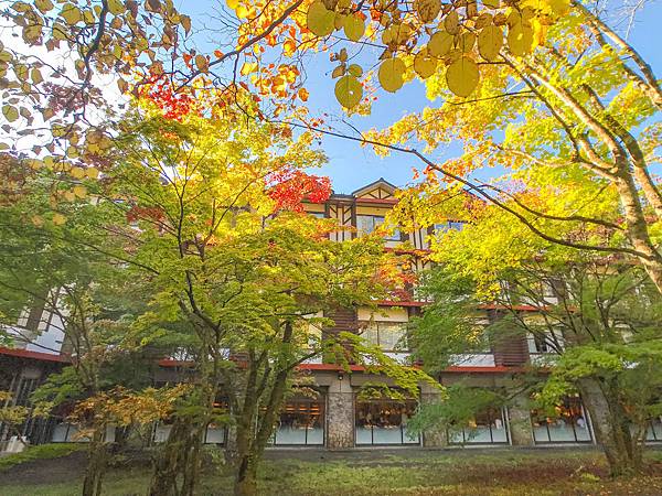 26_181016_070727-4833903.jpg 26_181016_070727-4833903.jpg