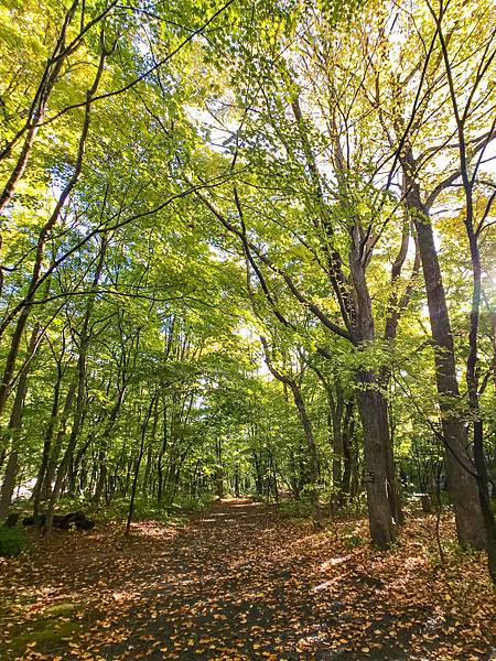 29_181016_071104-6927385.jpg 29_181016_071104-6927385.jpg