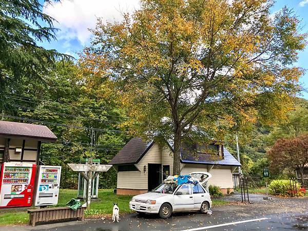 01_181016_082549-6217194.jpg 01_181016_082549-6217194.jpg