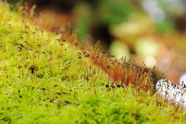 10_IMG_9284.jpg 10_IMG_9284.jpg