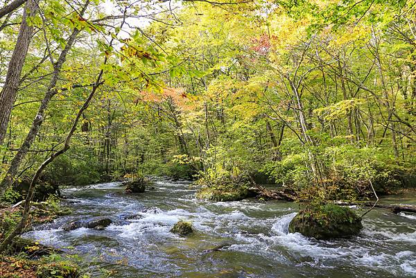 08_IMG_9270.jpg 08_IMG_9270.jpg