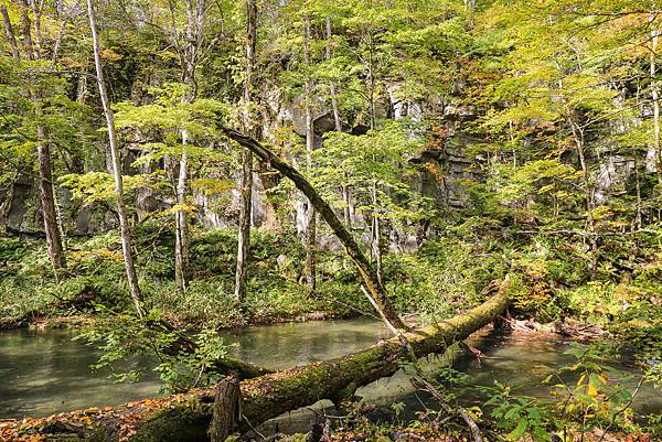 12_IMG_9287.jpg 12_IMG_9287.jpg